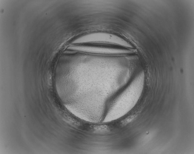 X0000076390355200610271558