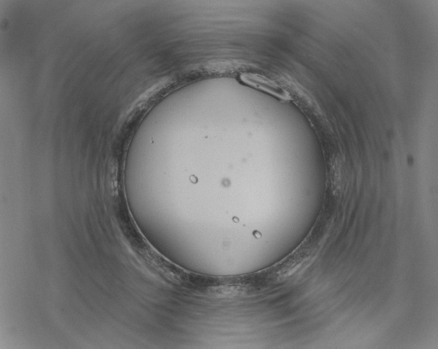 X0000076390356200610271558