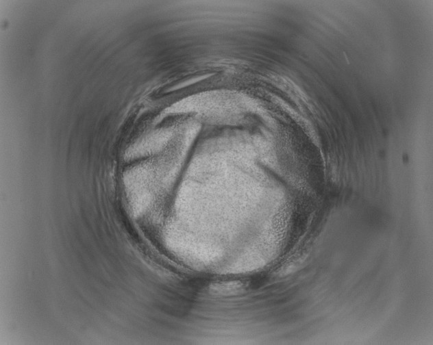 X0000076390357200610271558