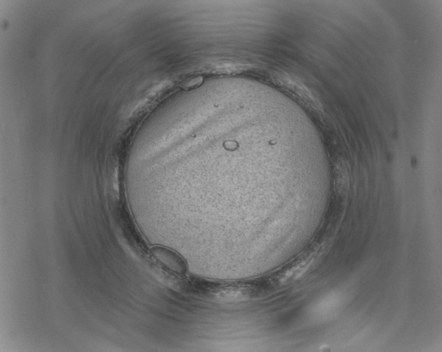 X0000076390358200610271558