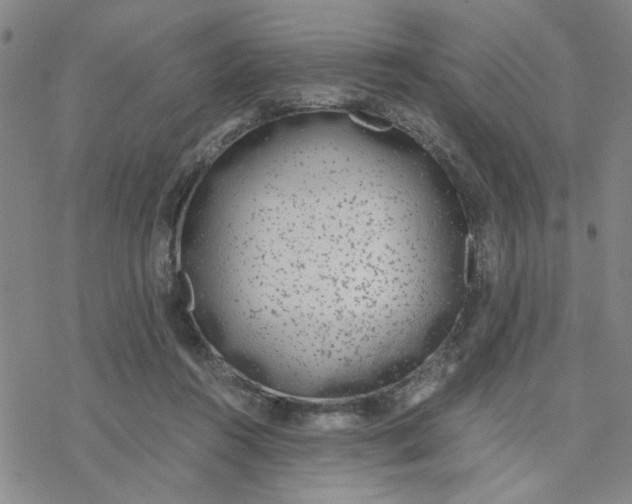 X0000076390360200610271559