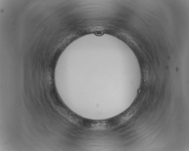 X0000076390362200610271559