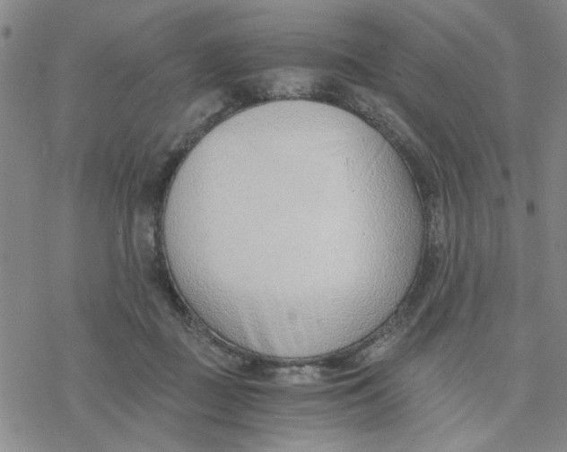 X0000076390363200610271559