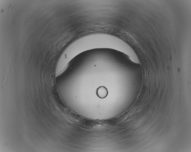 X0000076390364200610271559