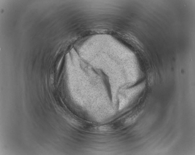 X0000076390365200610271559