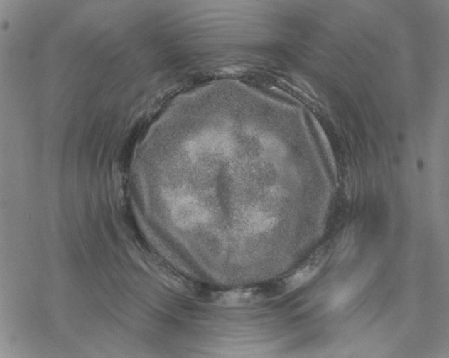 X0000076390366200610271559