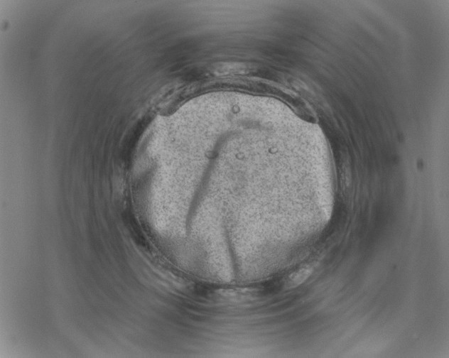 X0000076390367200610271559