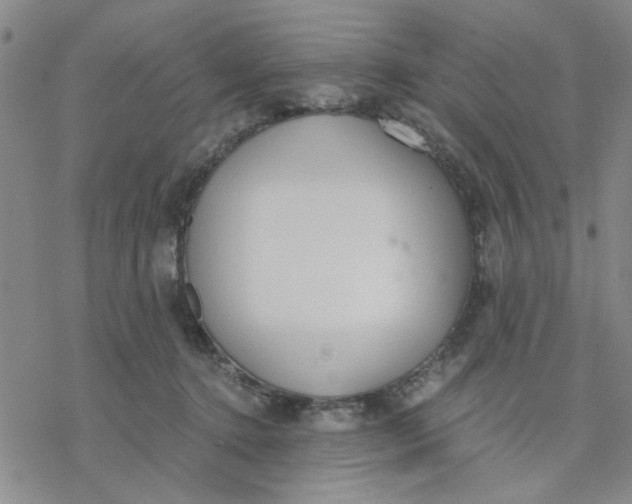 X0000076390368200610271559