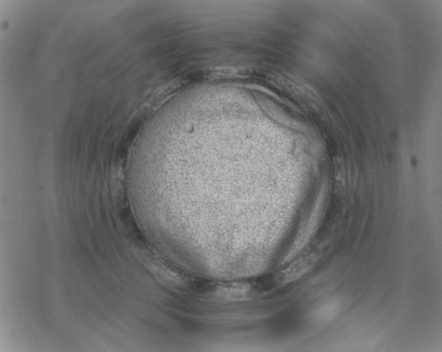 X0000076390369200610271559