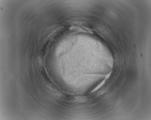 X0000076390371200610271559