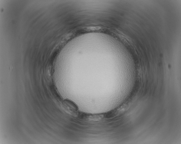 X0000076390373200610271559