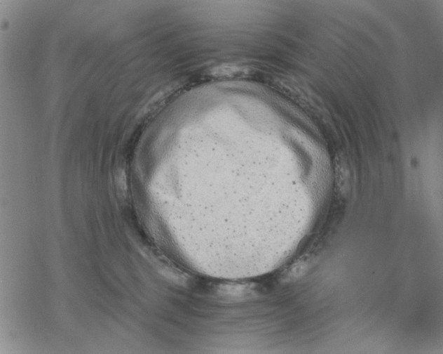 X0000076390375200610271559