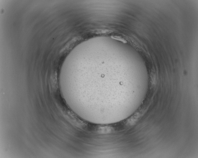 X0000076390376200610271559