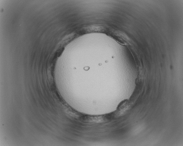 X0000076390377200610271559