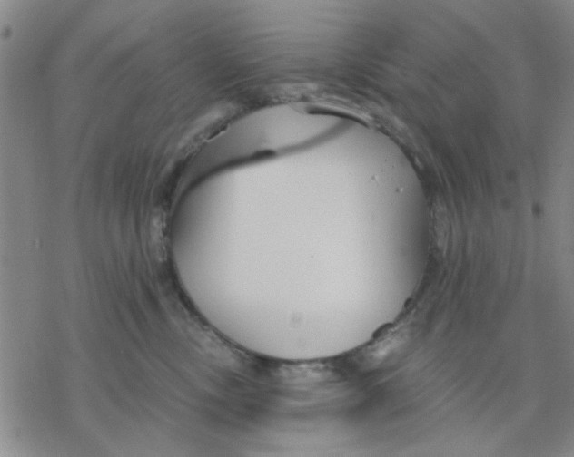 X0000076390378200610271559