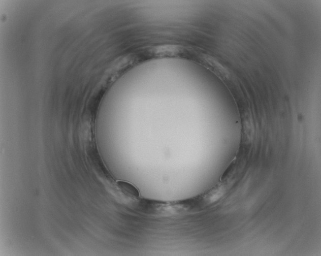 X0000076390379200610271559