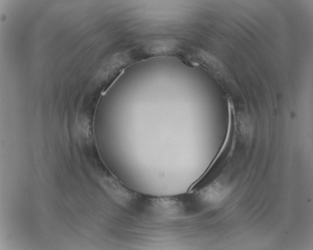 X0000076390380200610271559