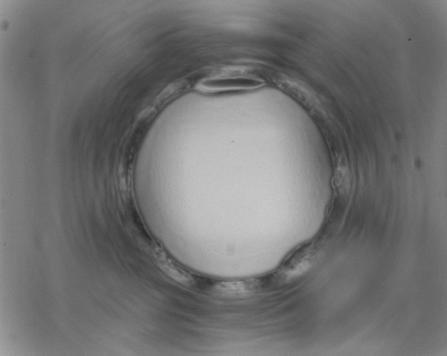 X0000076390381200610271559