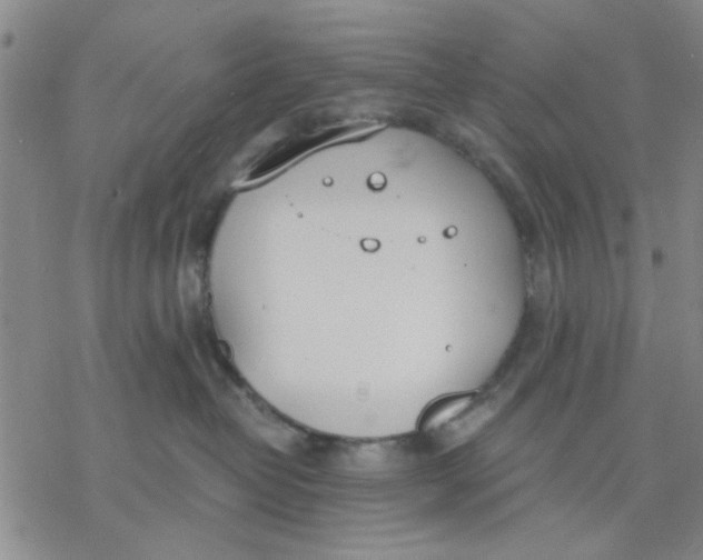 X0000076390382200610271559