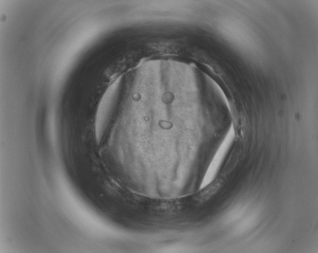 X0000076390383200610271559