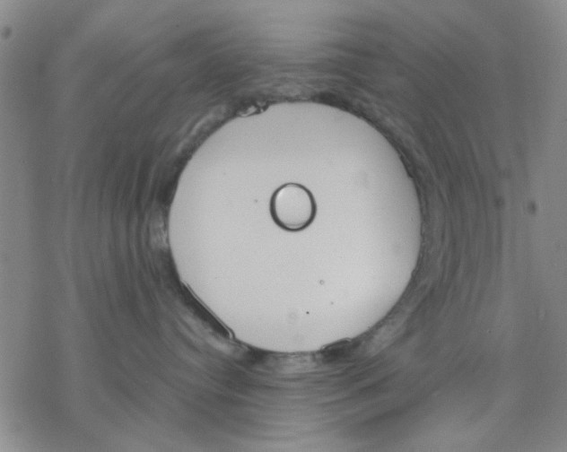 X0000076390384200610271559