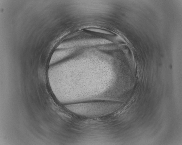 X0000076390386200610271558