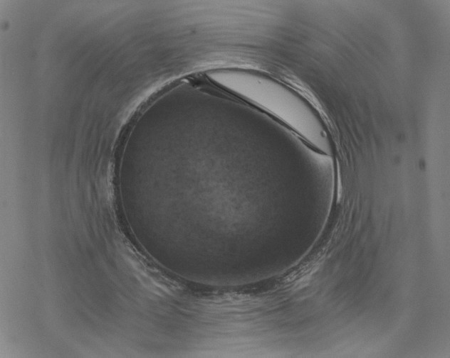 X0000076390387200610271558