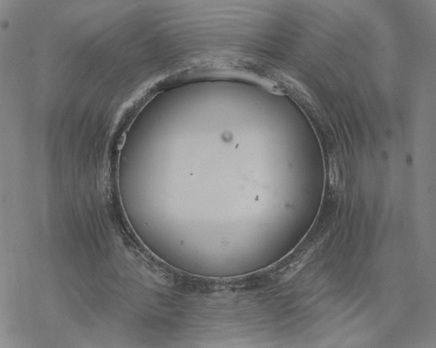 X0000076390388200610271558