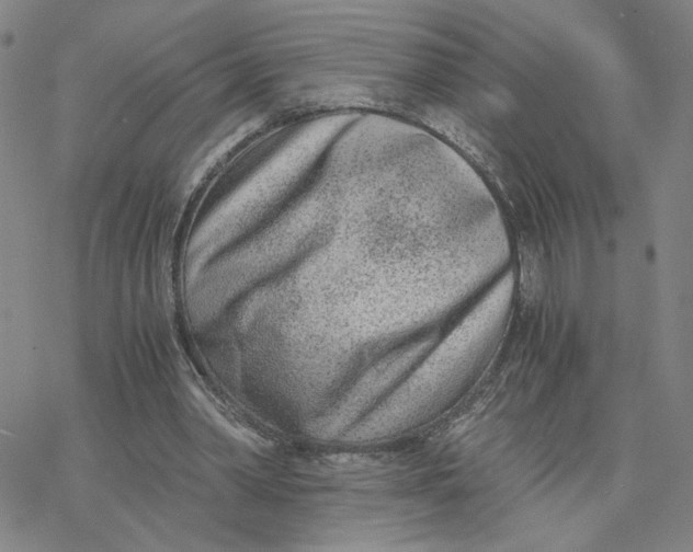 X0000076390390200610271558