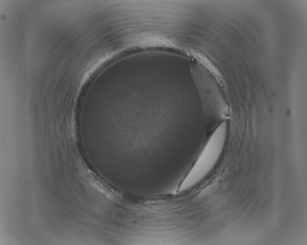 X0000076390391200610271558