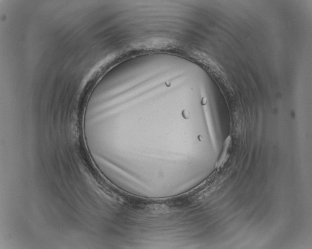 X0000076390392200610271558