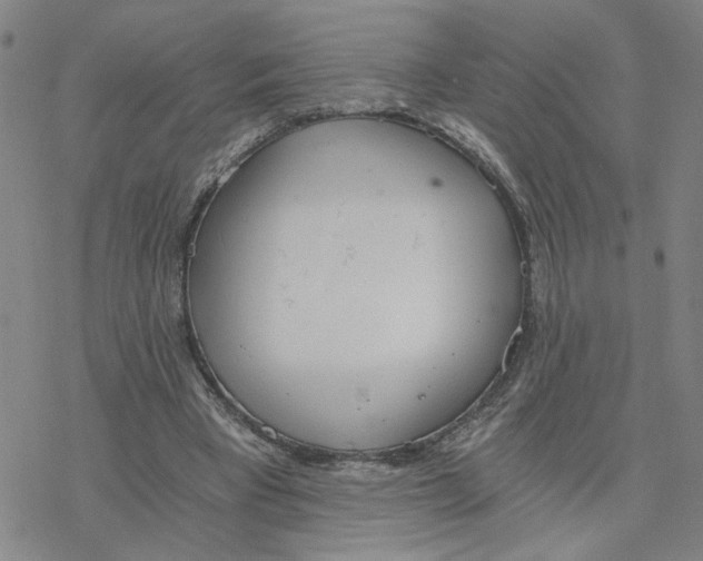 X0000076390393200610271558