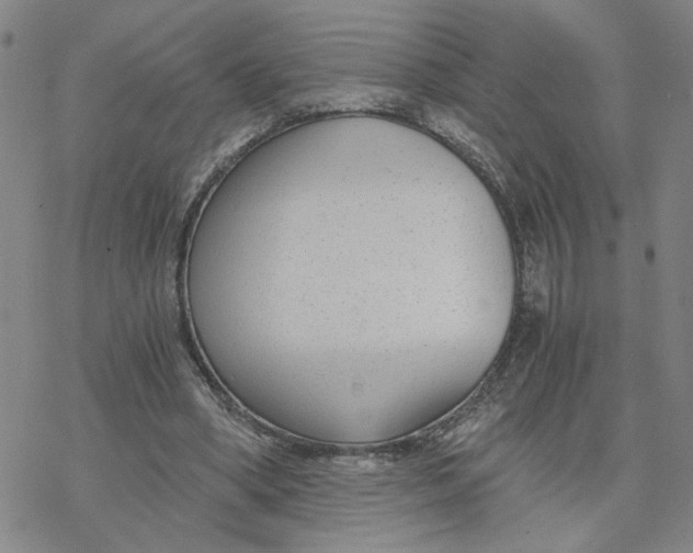 X0000076390394200610271558