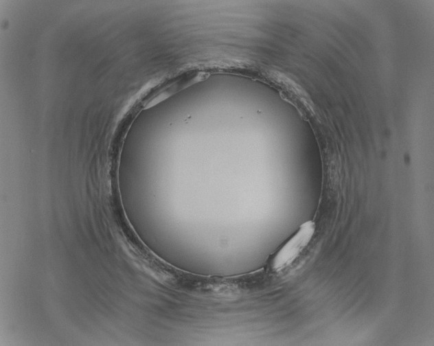 X0000076390395200610271558