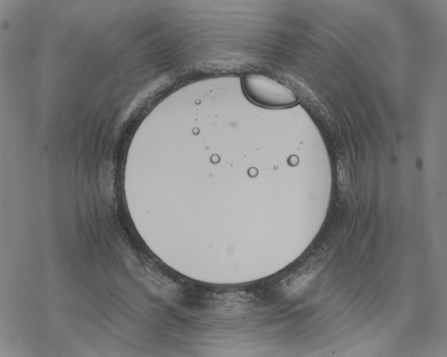 X0000076390396200610271558