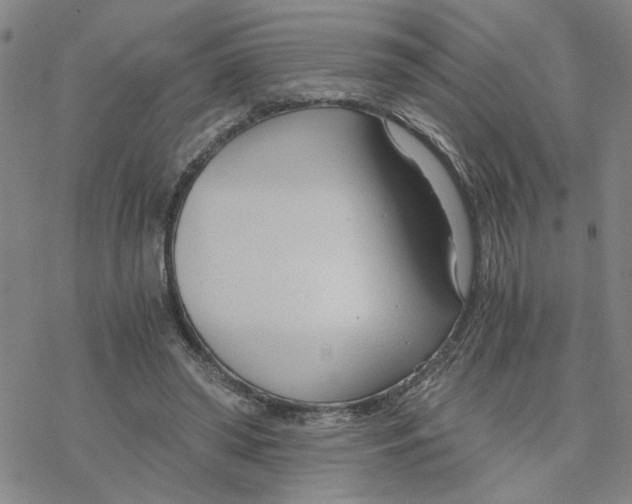 X0000076390398200610271558