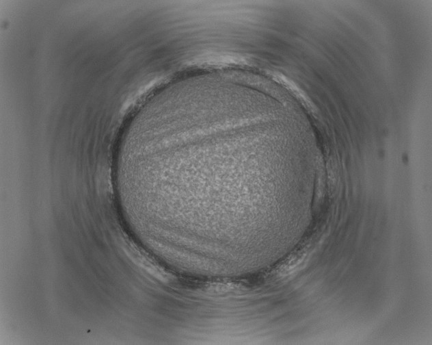 X0000076390399200610271558