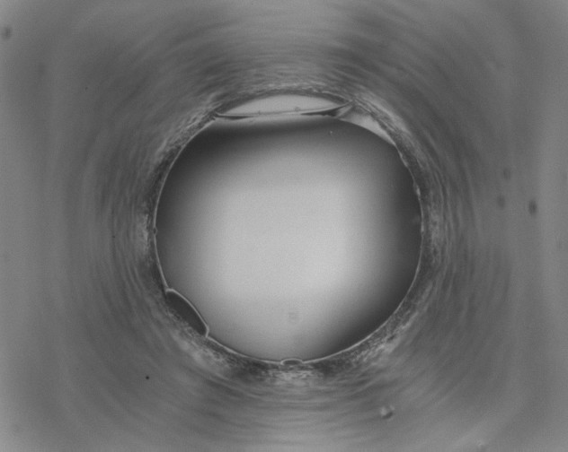 X0000076390401200610271558