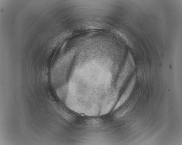 X0000076390402200610271558