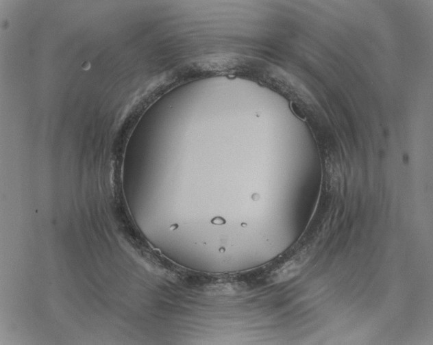 X0000076390404200610271558