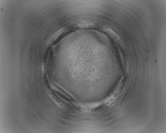 X0000076390405200610271558