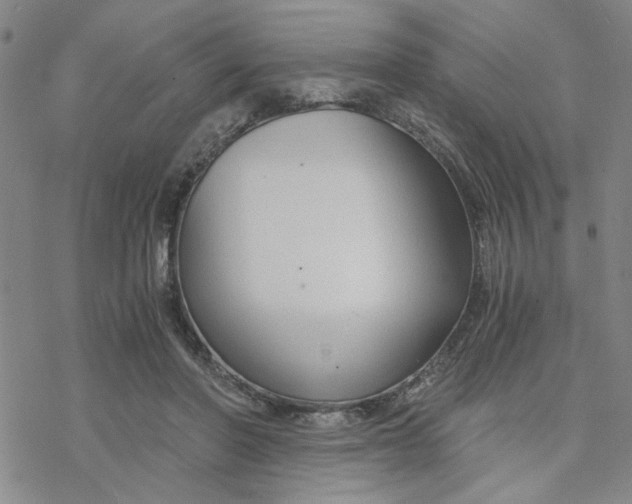 X0000076390406200610271558