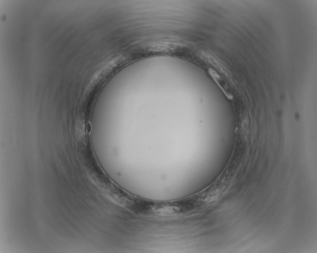 X0000076390407200610271558