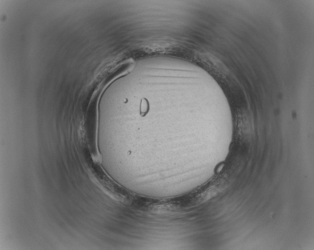 X0000076390408200610271558