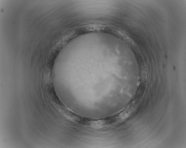 X0000076390411200610271558