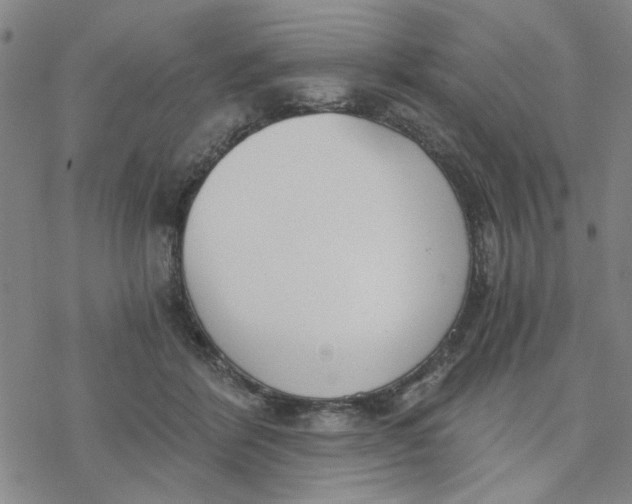 X0000076390412200610271558