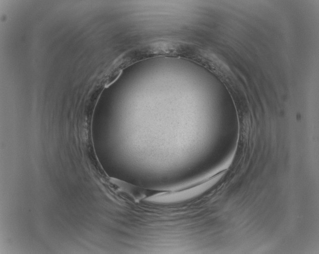 X0000076390413200610271558