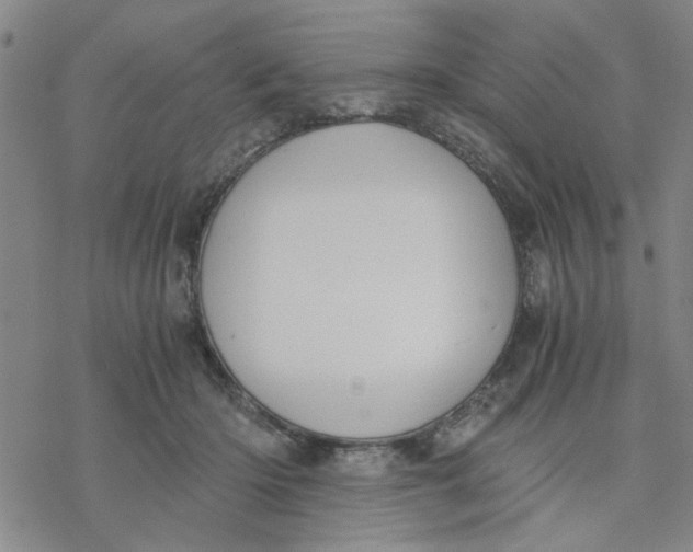 X0000076390414200610271558