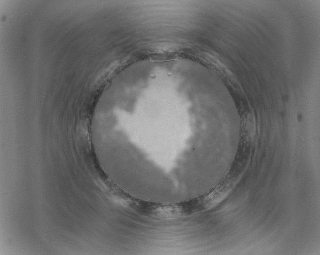 X0000076390415200610271558