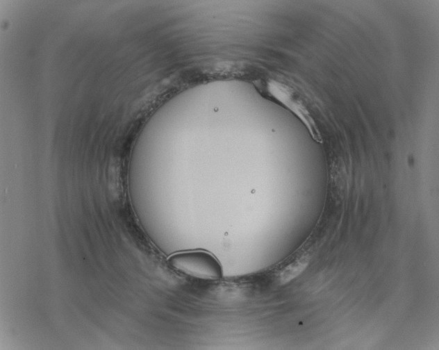 X0000076390416200610271558